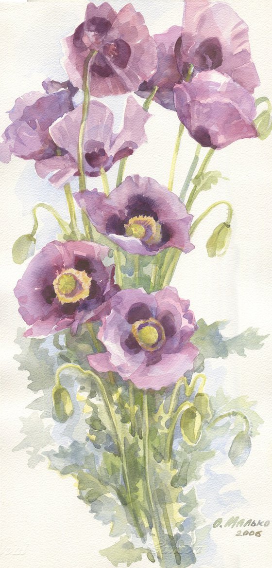 Wild Purple Poppies