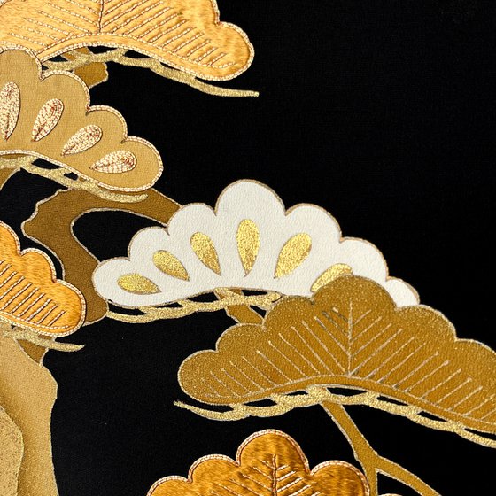 Pines through Seasons