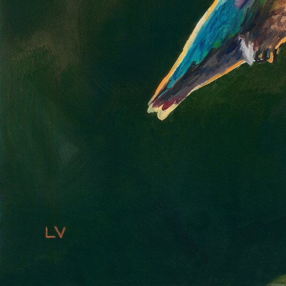 Hummingbird with trumpet vine