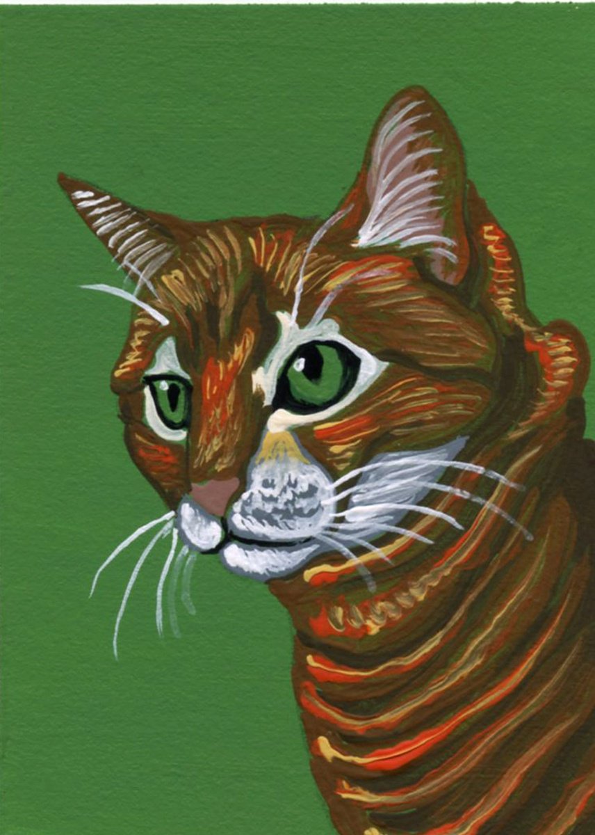 Orange Tabby Cat by Carla Smale