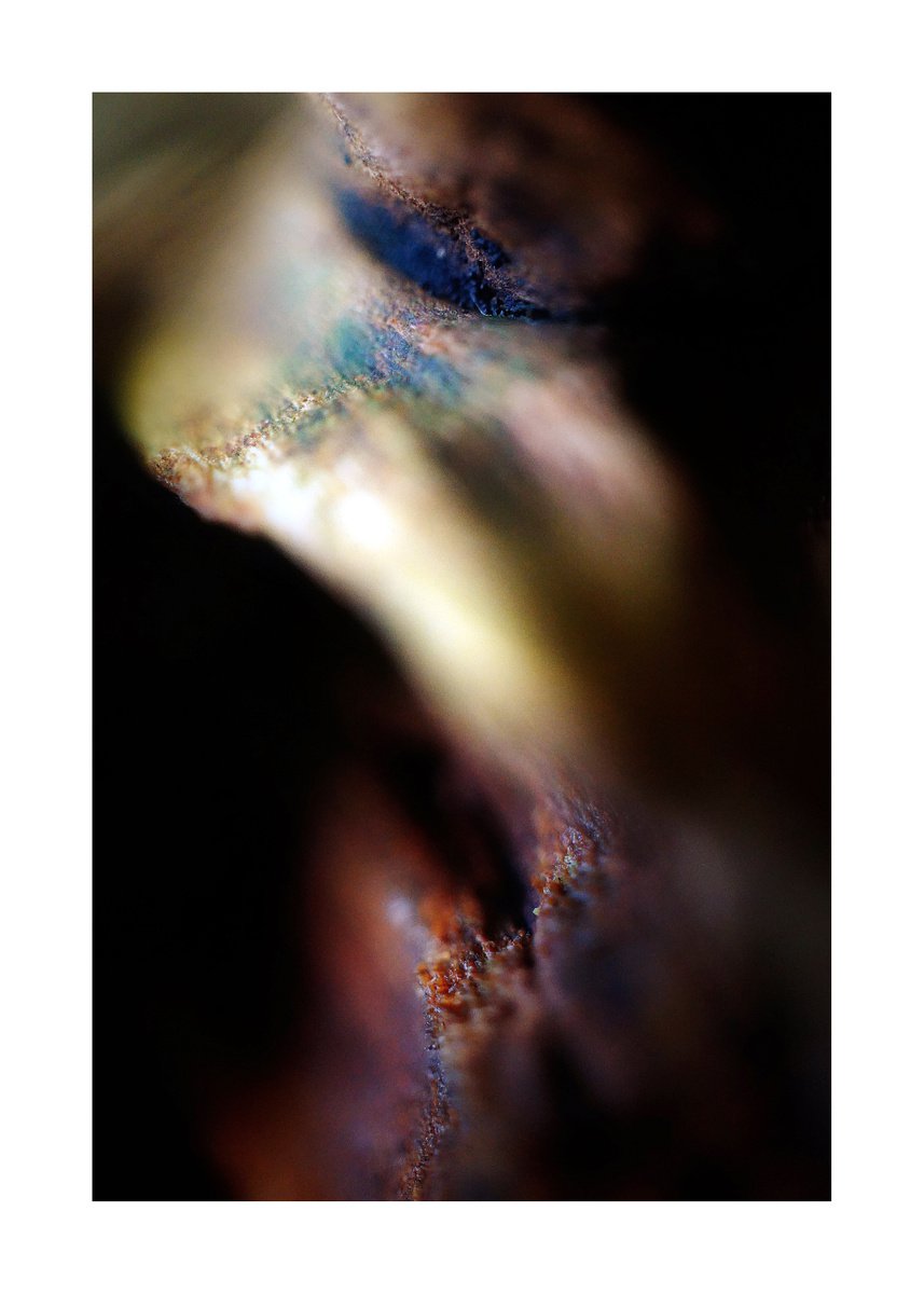 Abstract Nature Photography 173 (LIMITED EDITION OF 15) by Richard Vloemans