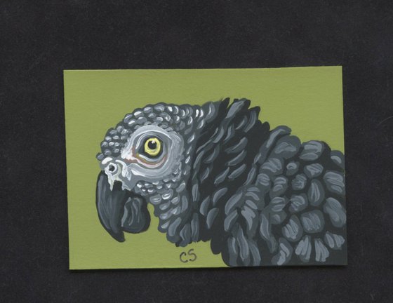 ACEO ATC Original Painting African Grey Parrot Bird Art-Carla Smale