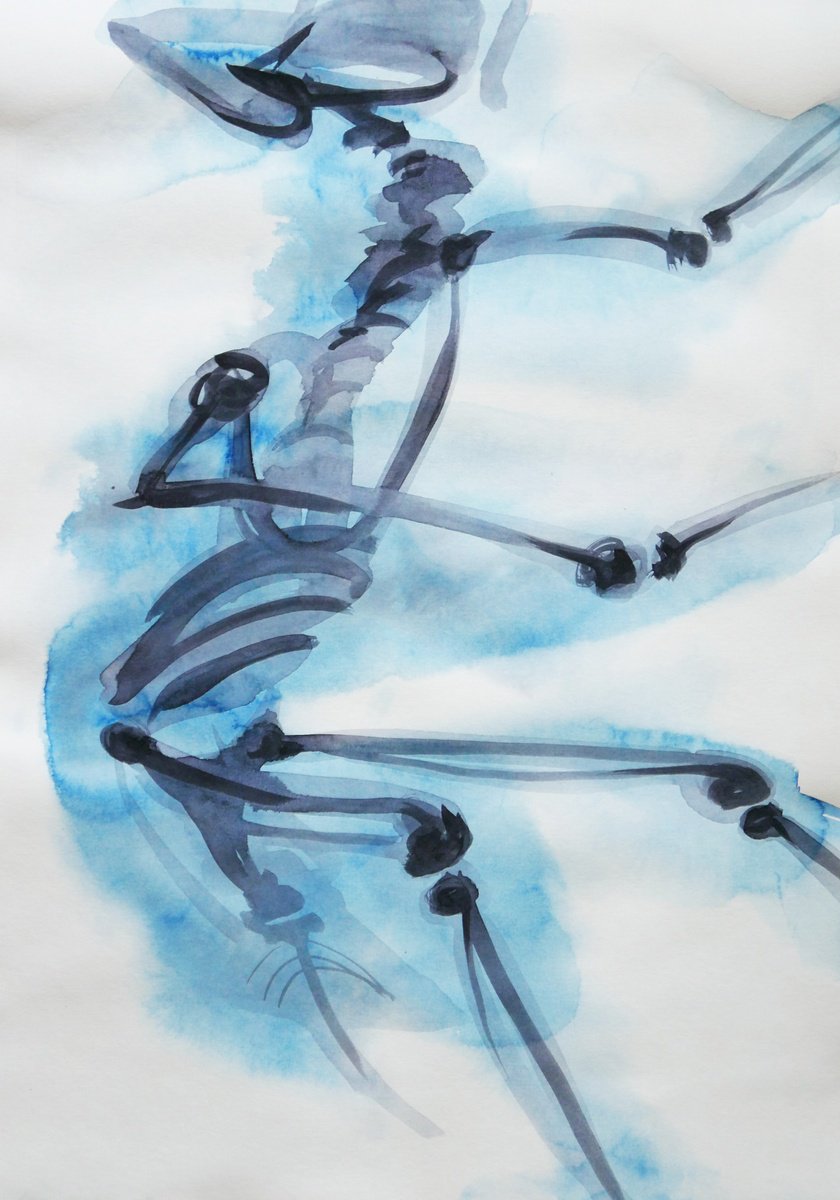 Expressive Animal Watercolour By Karina Danylchuk, 20 X 28", Watercolor X-Ray Bird 5, Original Artwork