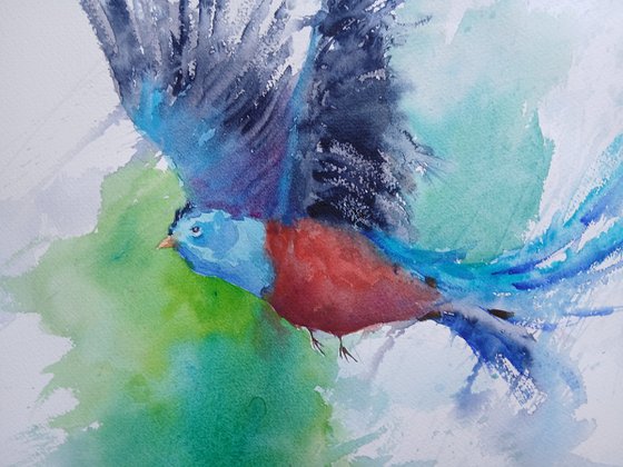Resplendent Quetzal 2
