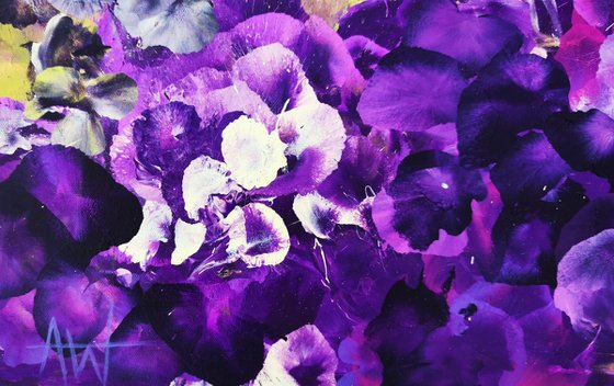 Violet Drift