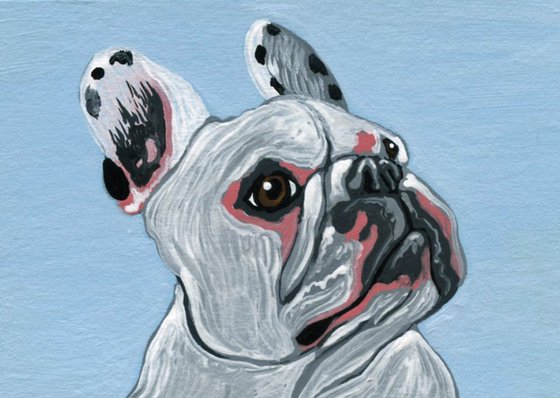 ACEO ATC Original Miniature Painting Pied French Bulldog Pet Dog Art-Carla Smale