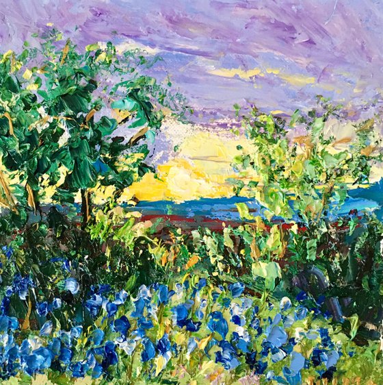 Texas Bluebonnets