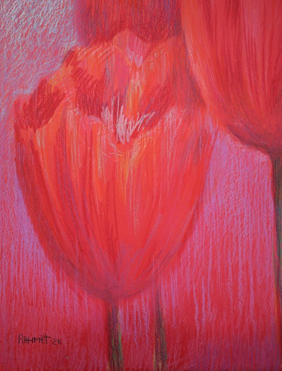 Red Tulips on Red