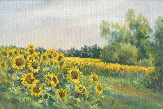 Sunflower Wind