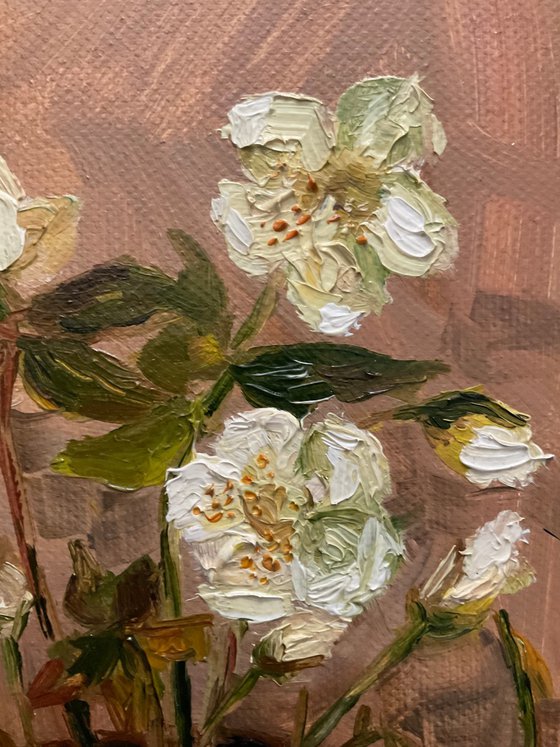 HELLEBORE