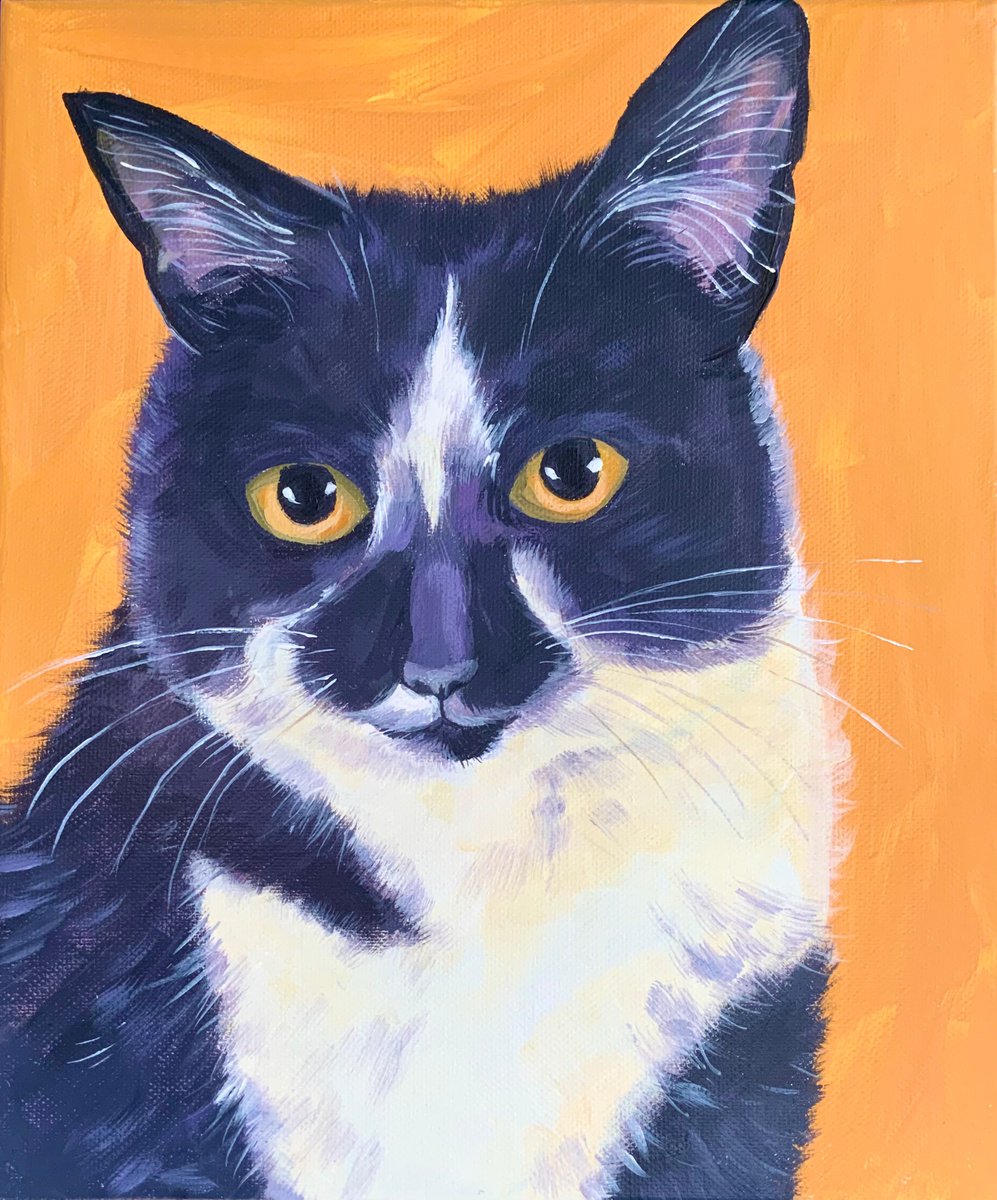 Black and white cat by Mary Stubberfield