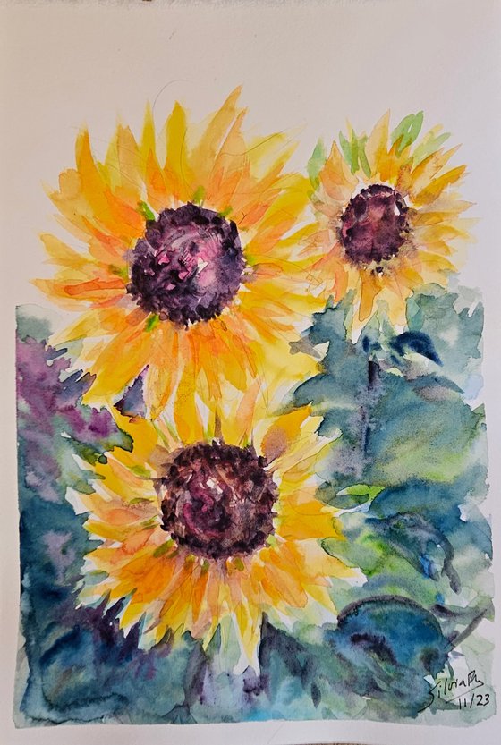 Three sunflowers