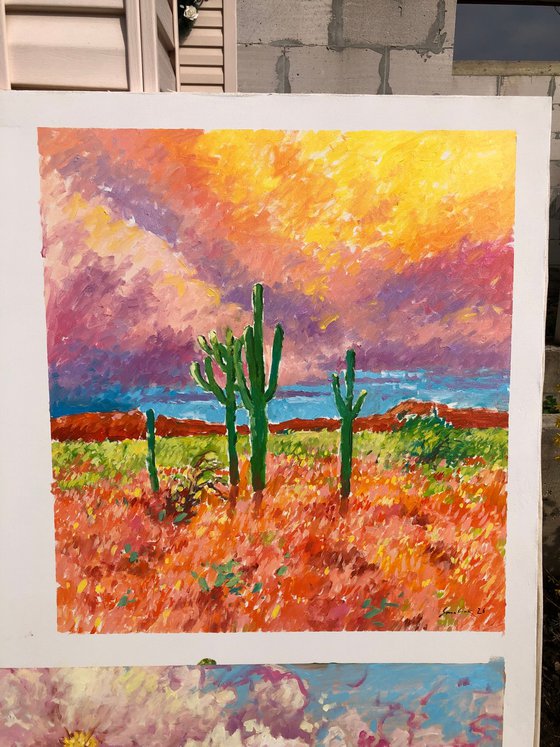 Colours of Southwest