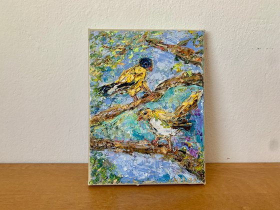 Two birds