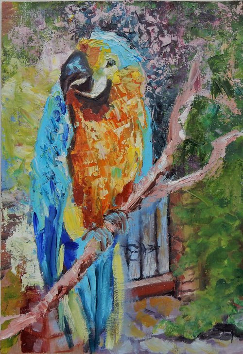Parrot by Vita Schagen