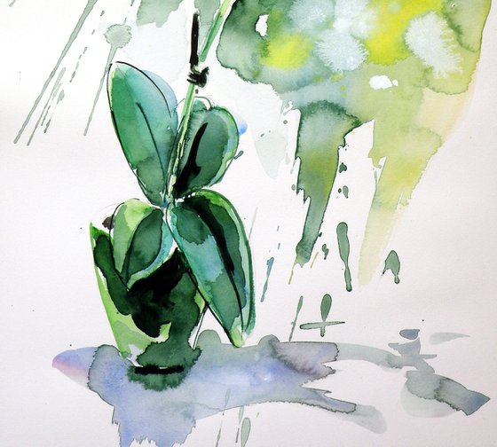 Little orchid