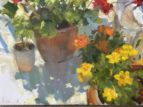 Flowers on the Porch