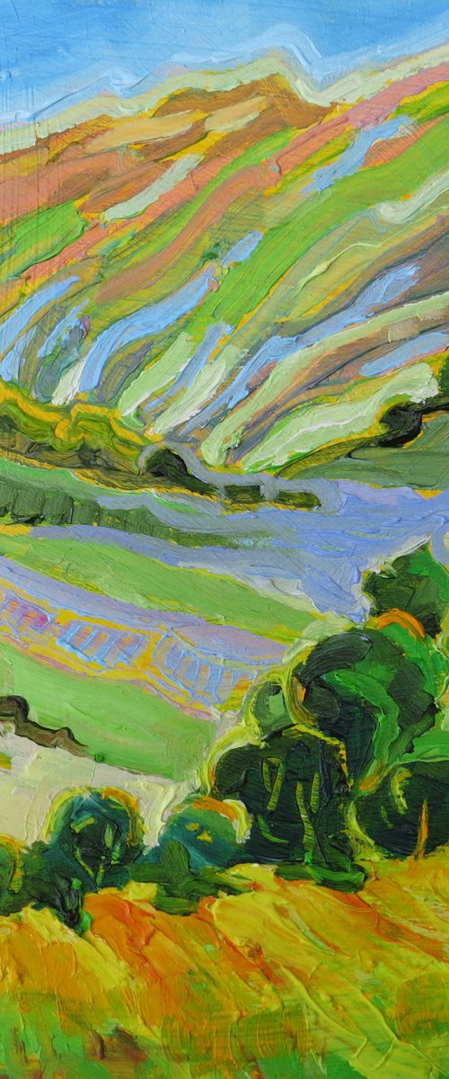Yorkshire Dales Valley by Mary Kemp