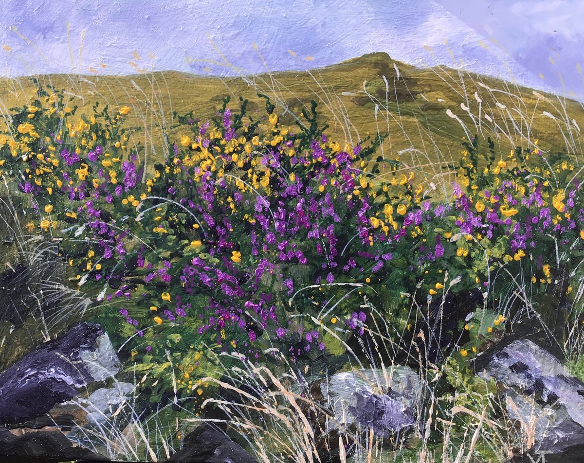 Late Summer on Dartmoor by Valerie Jobes