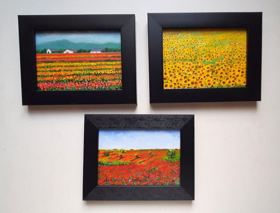 Set of Three Floral Meadows