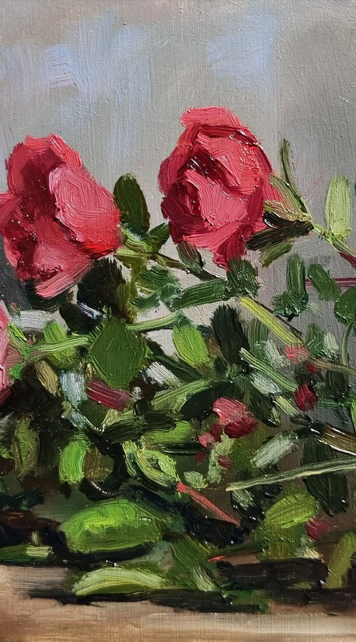 3 Roses by Pascal Giroud
