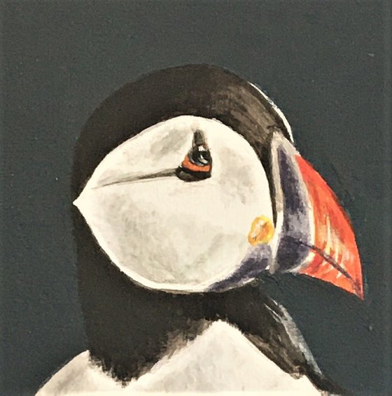 Standing Puffin