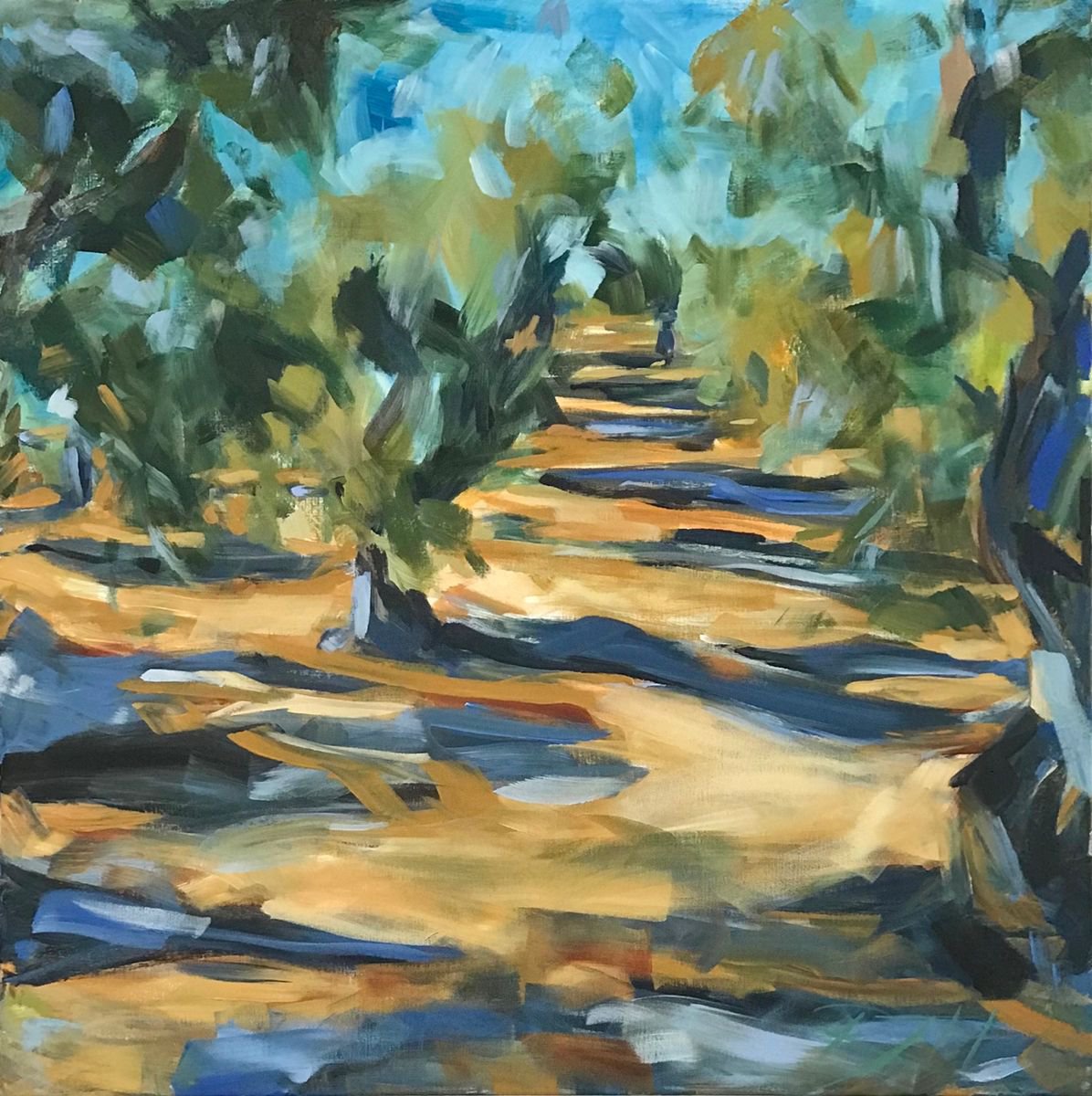 Olive Grove In Sunshine By Roberta Heslop, 30 X 30, Artwork For Sale On Artfinder