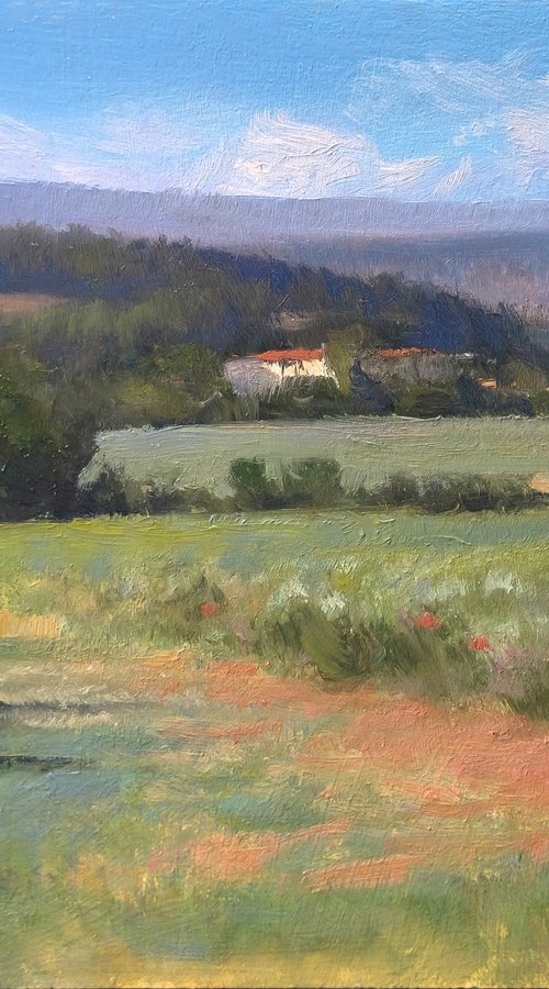 Chemin des Romeyere by Pascal Giroud