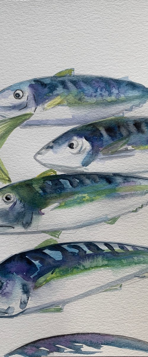 Fish life by Olga Pascari