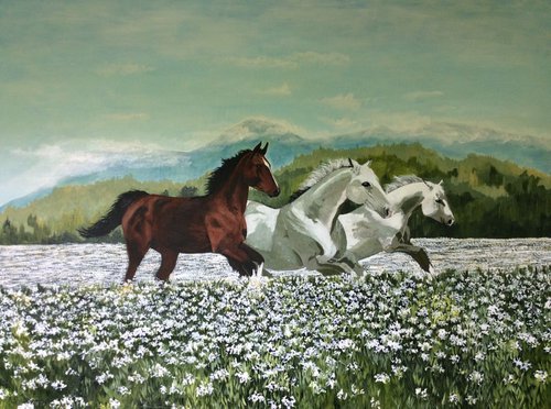 Wild Horses by Anne Shaughnessy