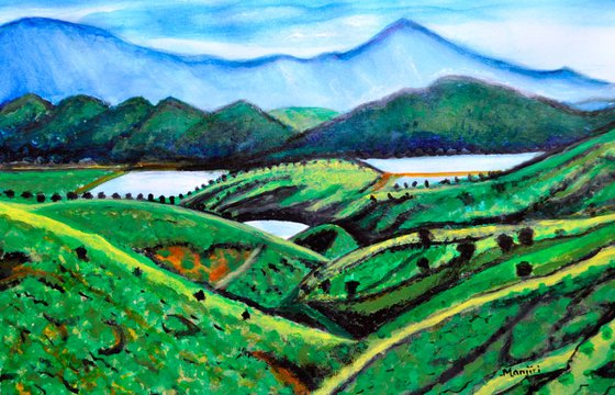 Landscape with Tea estate valley river mountians