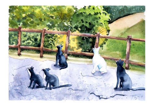 Street Cats by Olga Shefranov (Tchefranov)