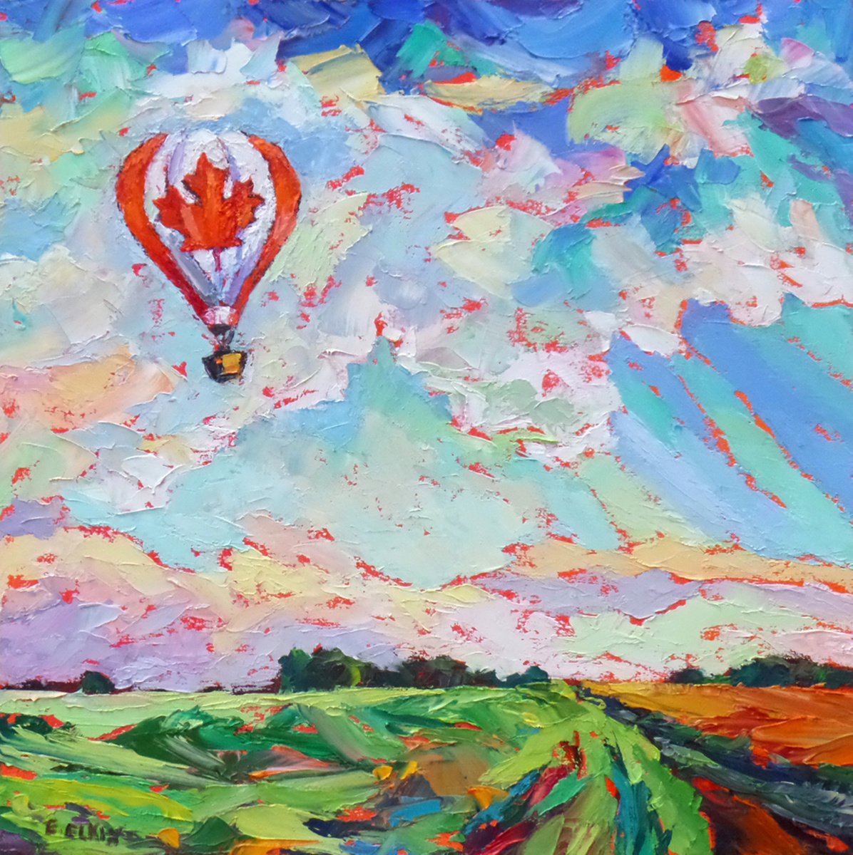 Air balloons ride by Elizabeth Elkin