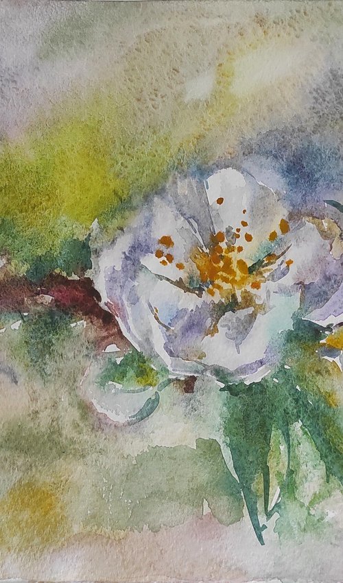 Apple blossom - original watercolor by Tetiana Borys
