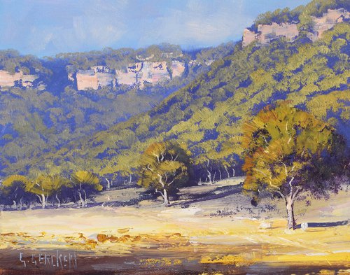Blue Mountains cliffs Australia by Graham Gercken