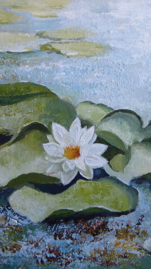 Waterlilies pond by Elena Oleniuc