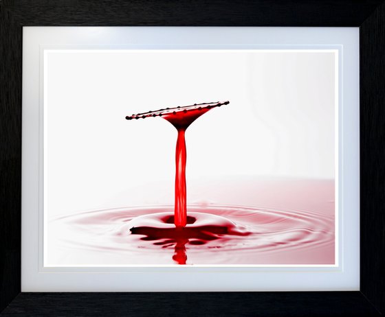 'Crimson Chalice' - Liquid Art