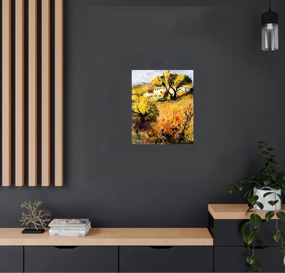 Provence landscape and flowers