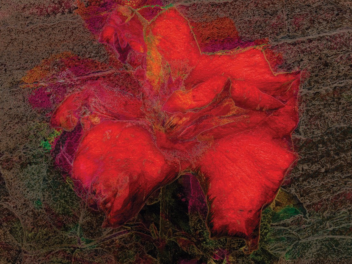 Abstract Botanical Print By Javier Diaz, 80 X 60, Metamorfosis, Original Artwork