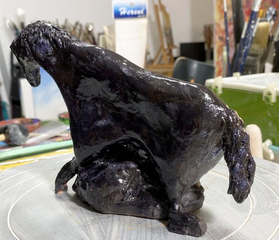 Equus