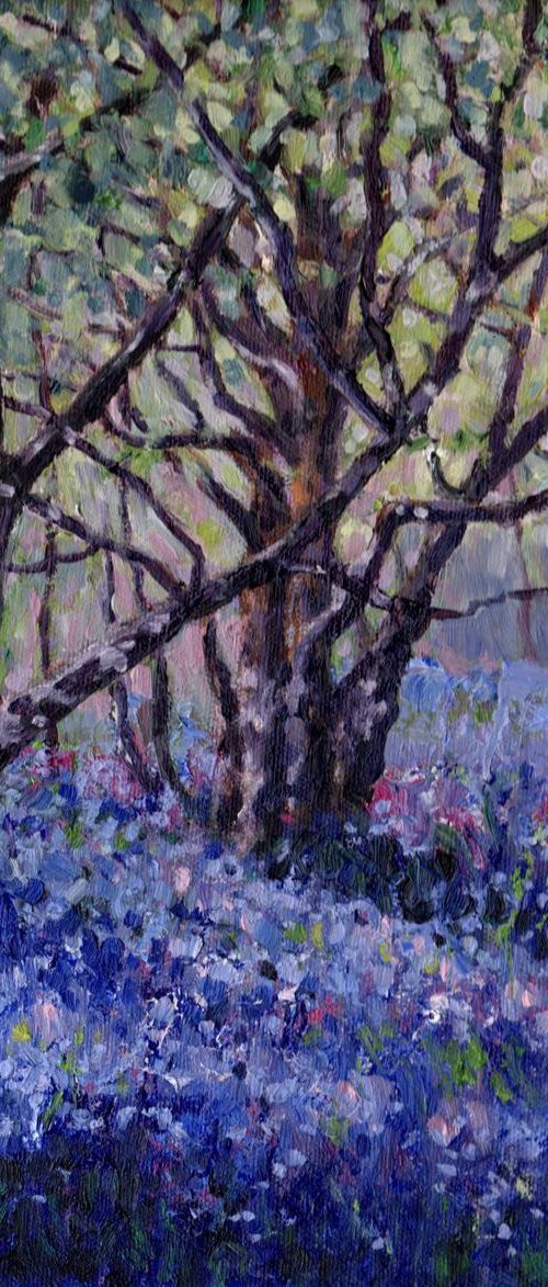 Spring Bluebells by Zoe Elizabeth Norman