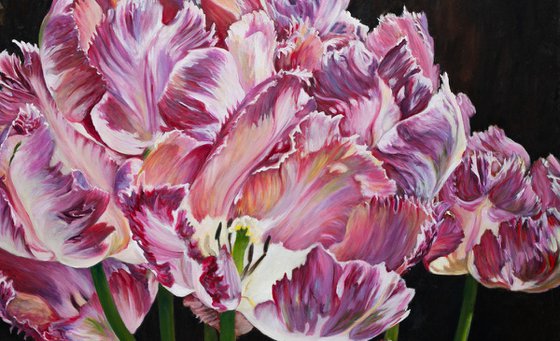 Red Parrot Tulips