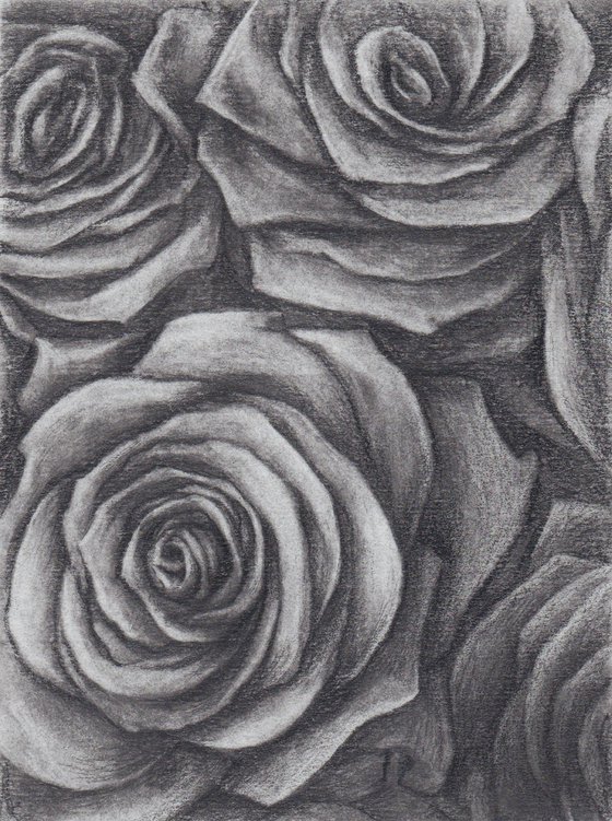 Black Roses. Graphite Flowers Series