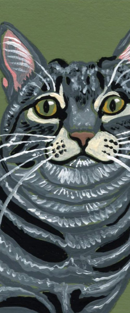 Gray Tabby Cat by Carla Smale