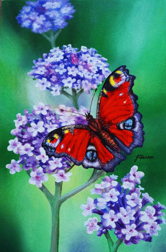 Peacock Butterfly on Verbena 5 x 7.5 inch
