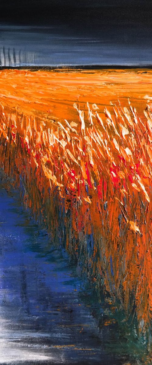 Some Perspectives  and the  Fields - Fields and Colors Series by Danijela Dan