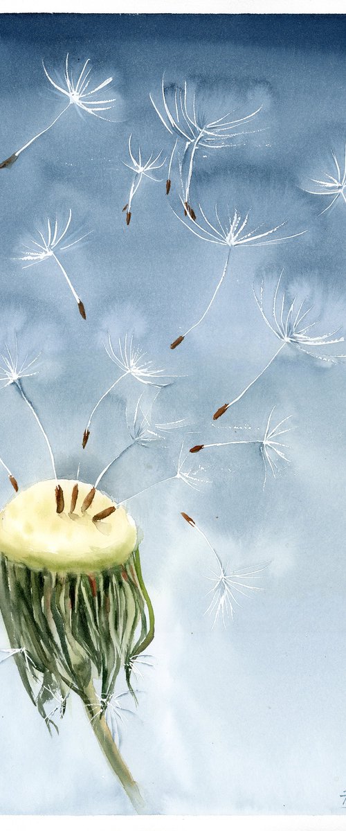 Dandelion with Flying Seeds by Olga Tchefranov (Shefranov)