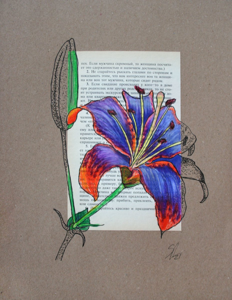 Botanical Drawing By Salana Art / Svetlana Samovarova, 8 X 11", Flower Composition Iv, Original Artwork