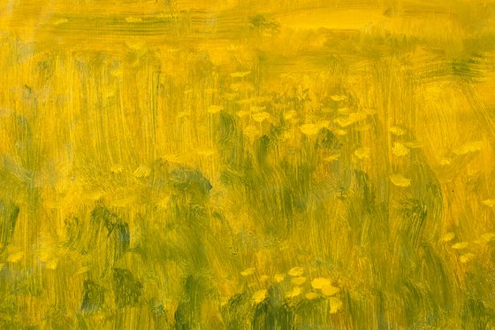 Yellow Field