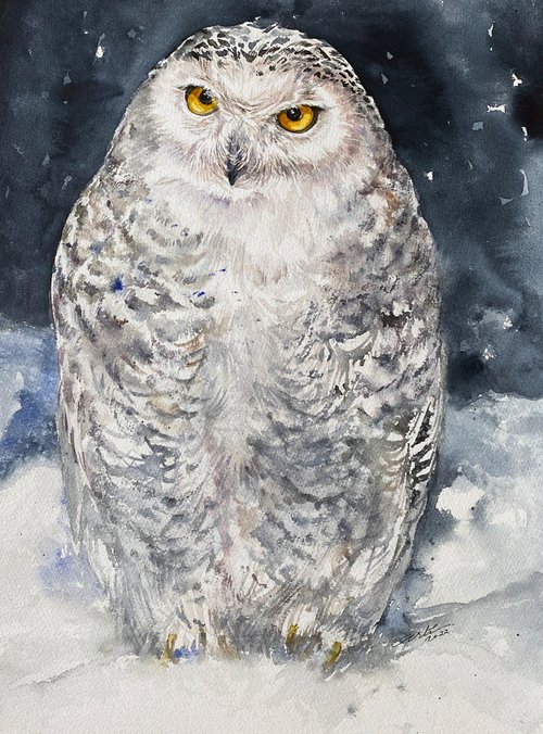 Snow Owl White Wex by Arti Chauhan